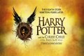 Harry Potter and The Cursed Child: The Sequel